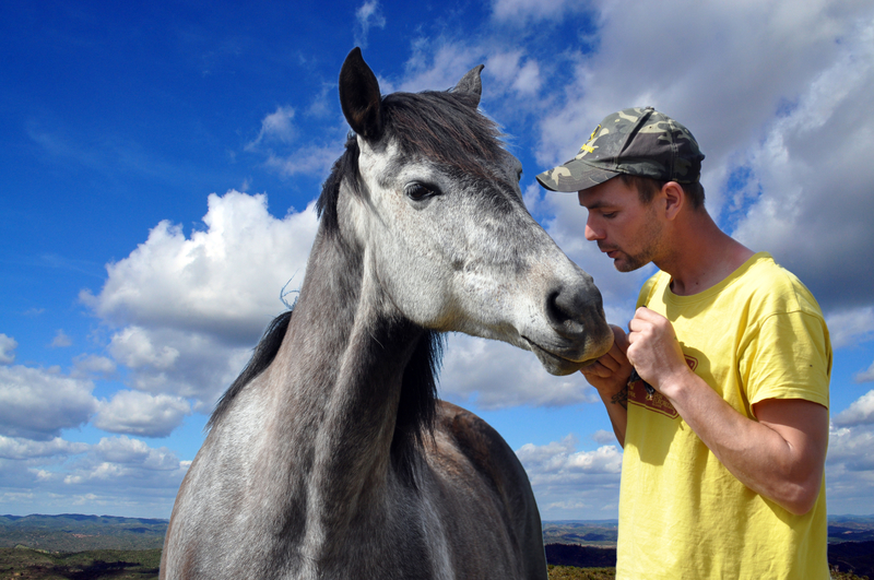 A horse and a man stand close together.