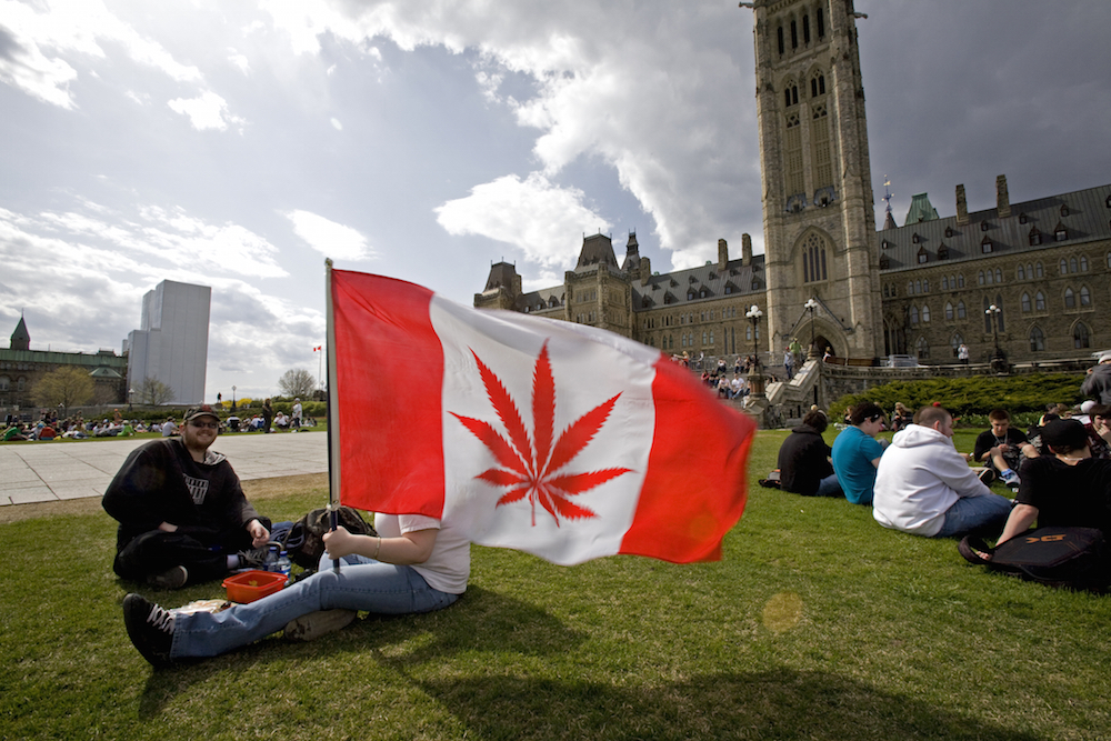 marijuana activists in ontario