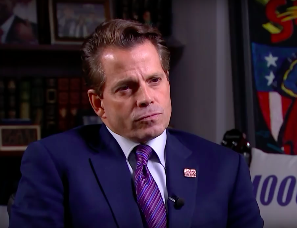 Anthony Scaramucci - Trump to legalize marijuana?