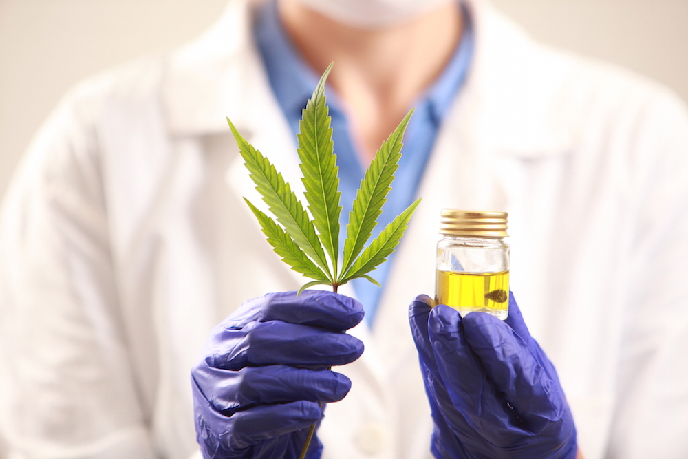 Researcher holding a cannabis leaf and THC oil which carries harsher penalties in New York City