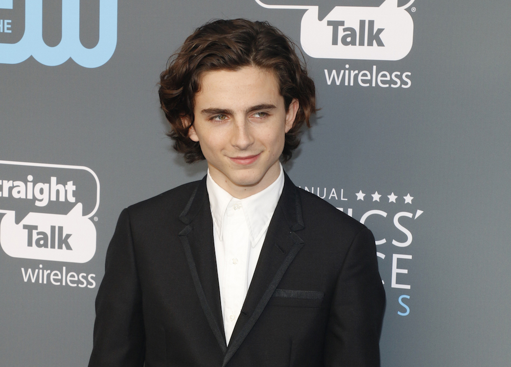 Timothée Chalamet spoke about Beautiful Boy for an audience of teenagers.
