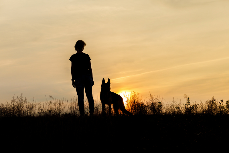 Silhouette of woman and dog and sunset, sober homeless alcoholic with dogs