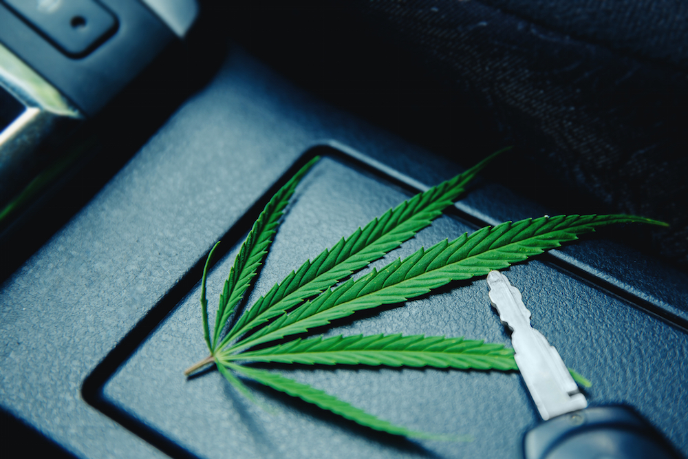 a marijuana leaf inside of a car