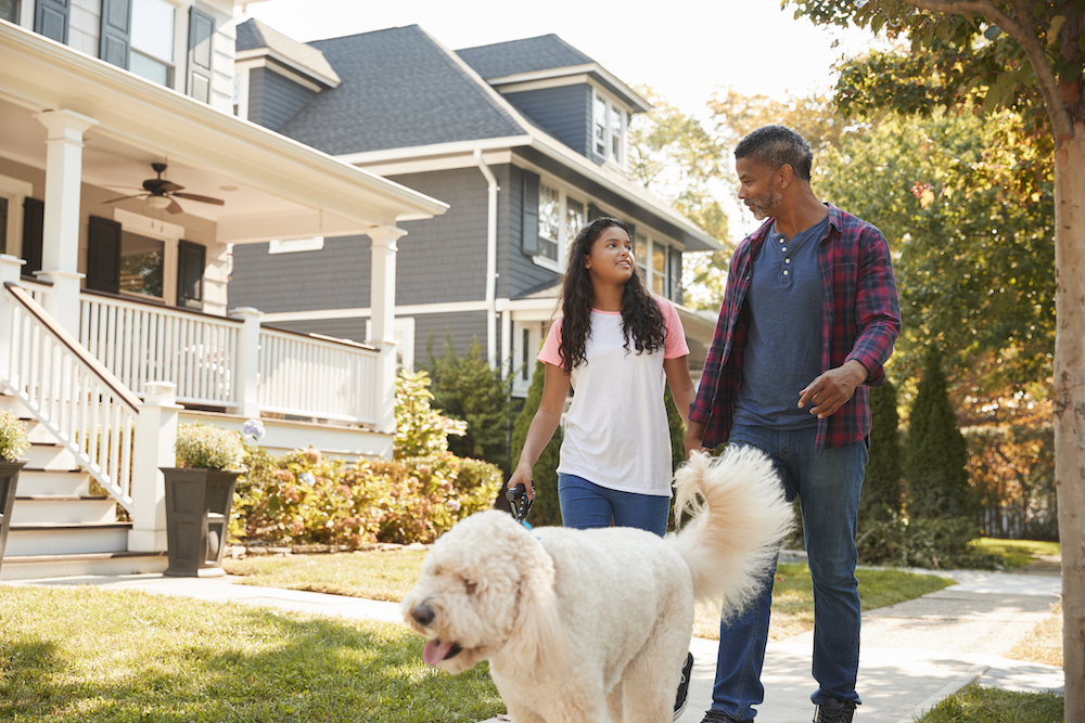 residents of an affluent neighborhood walking their dog