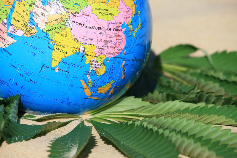 Marijuana drugs way to the customer. Globe.