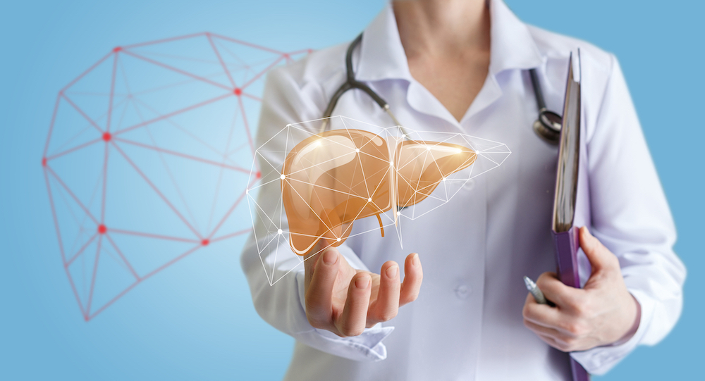 doctor displaying fake liver