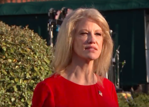 The White House's Kellyanne Conway says fentanyl is turning up in marijuana.