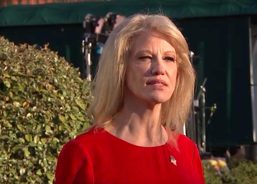 The White House's Kellyanne Conway says fentanyl is turning up in marijuana.