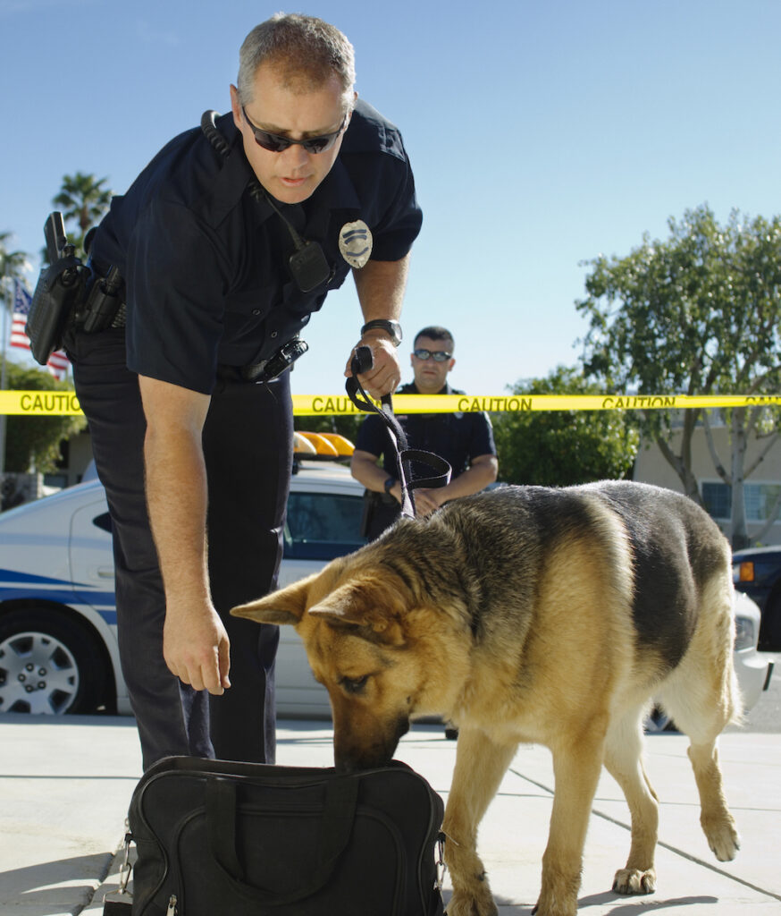Meth Seizures Skyrocket police k9 sniffing out a meth seizure