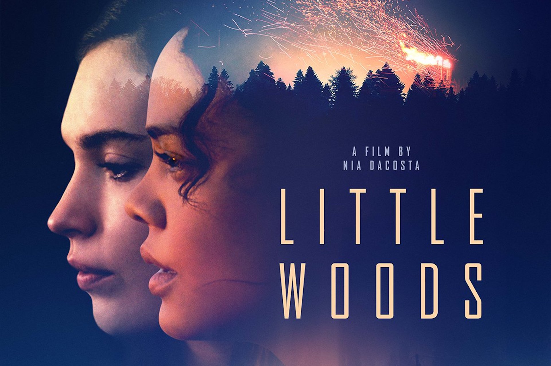 Little Woods Film Poster, a film about family, poverty, opioids