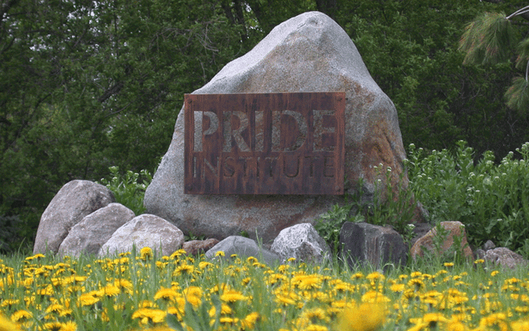 Pride Institute