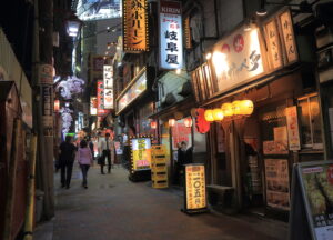 Alley in Tokyo with bars, Shinjuku