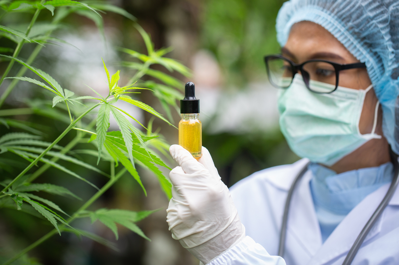 scientist researching marijuana holds vial of oil while standing among plants