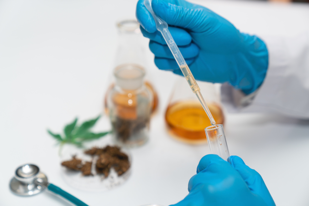 researcher performing scientific study on marijuana