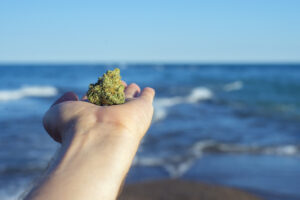 Cali sober person holding a nugget of weed near the ocean