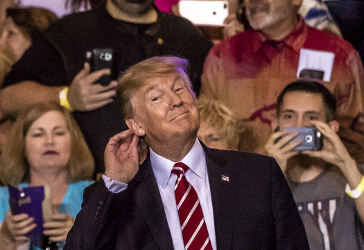 Donald Trump at rally