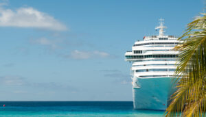 Cruise ship on ocean, partly hidden by palm tree.