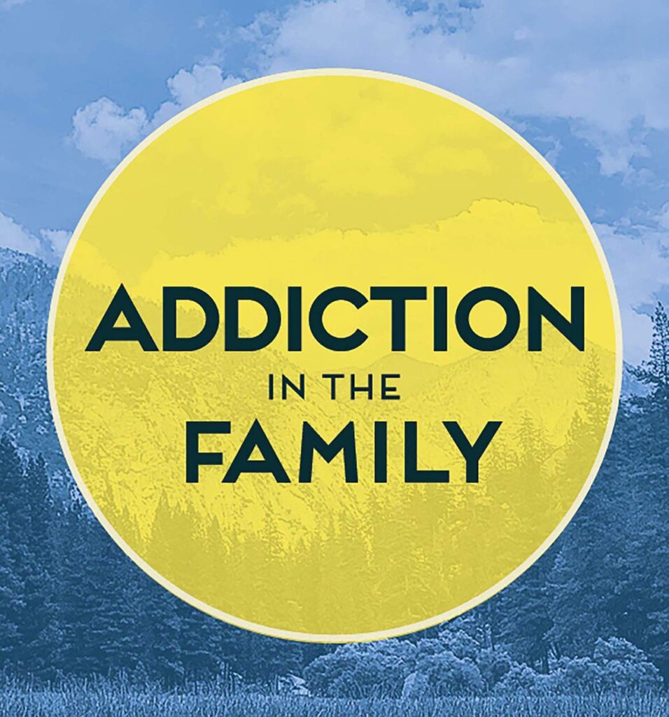 Practical Strategies for Families Struggling with Addiction Addiction in the Family book cover