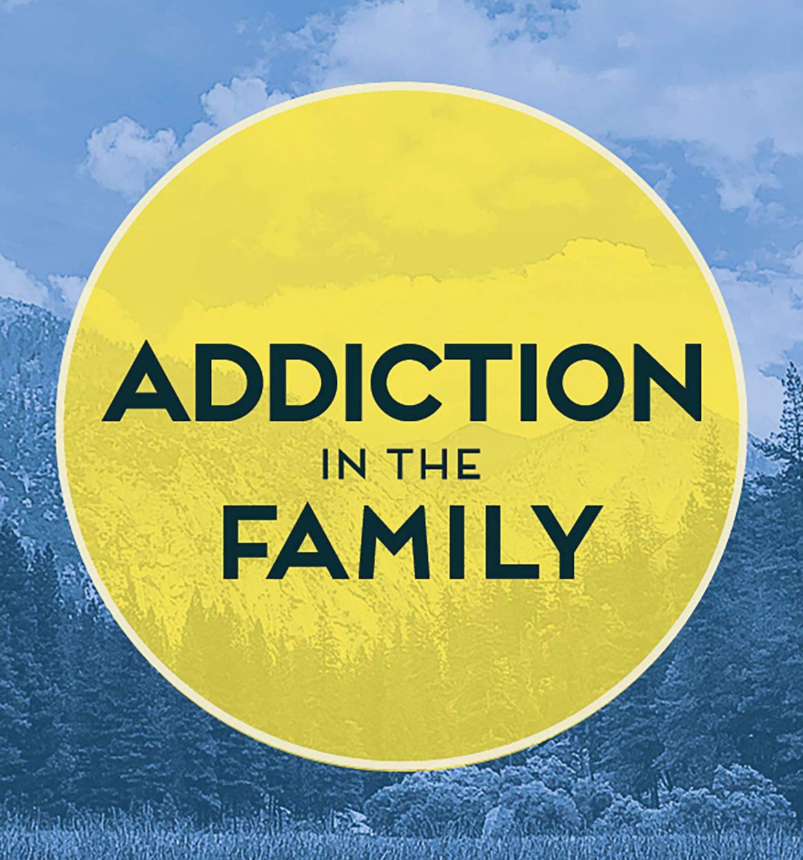 Addiction in the Family book cover