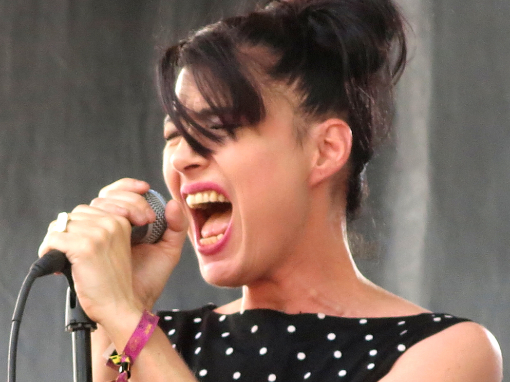 Kathleen Hanna, The Julie Ruin