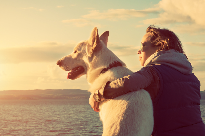 Woman and dog look out over ocean, woman's arm is around dog